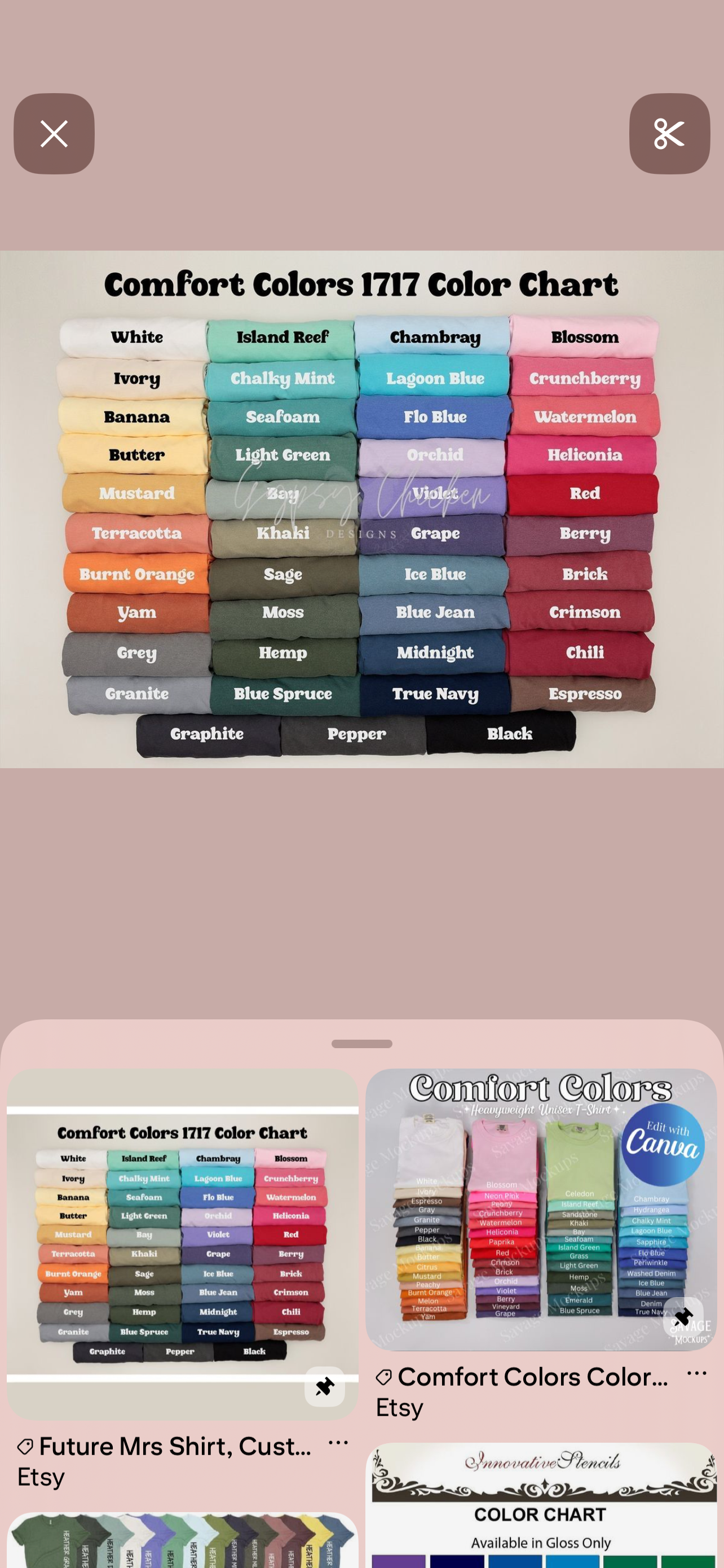 Wallins Devils Flag T-Shirt